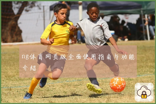ng体育网页版全面使用指南与功能介绍