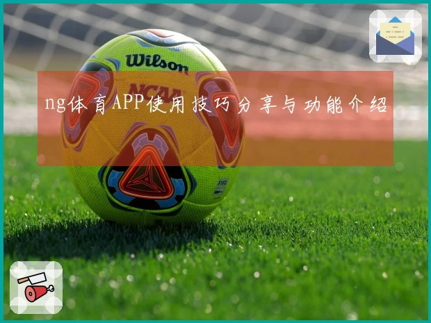 ng体育APP使用技巧分享与功能介绍