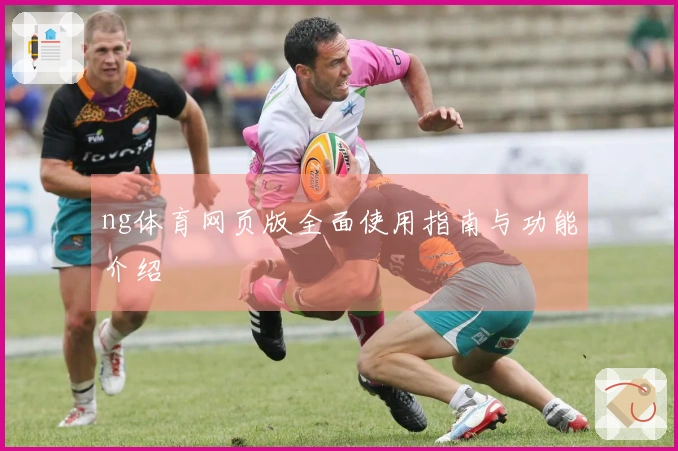 ng体育网页版全面使用指南与功能介绍