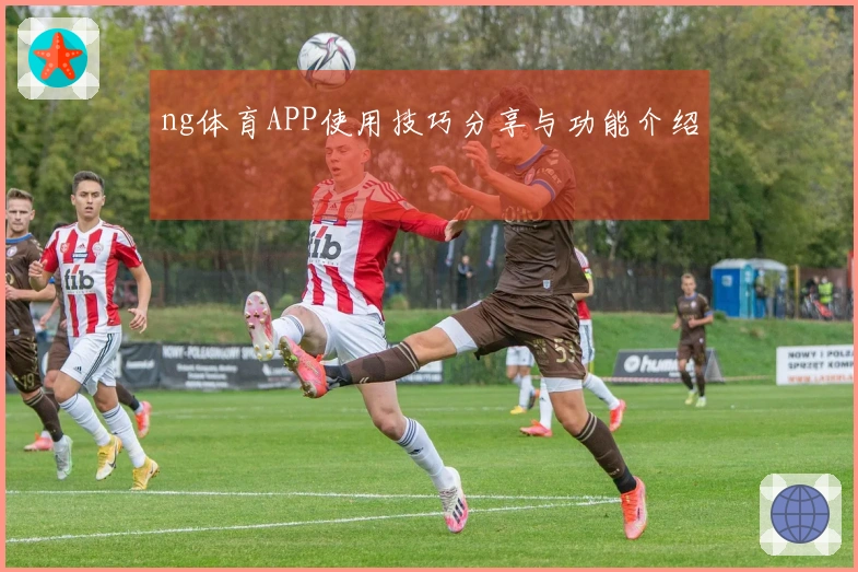 ng体育APP使用技巧分享与功能介绍